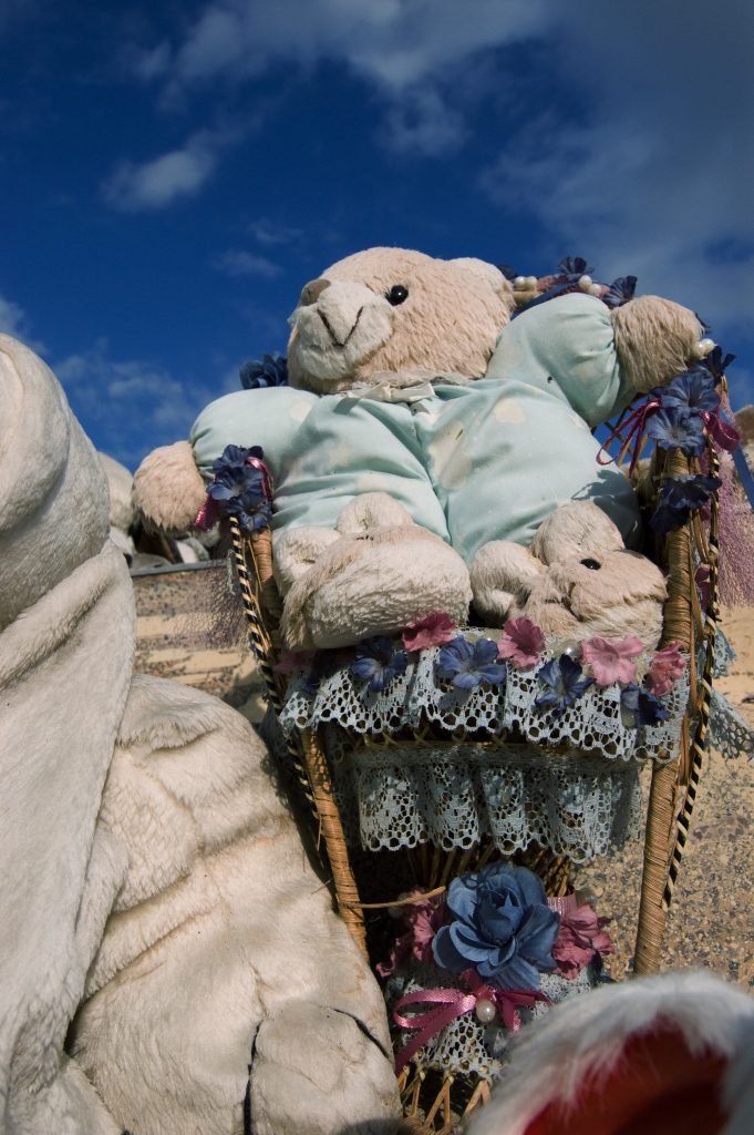 Toys After Katrina New Orleans October 2006 In Lower Garden District Photographer George Hancock Bear Back