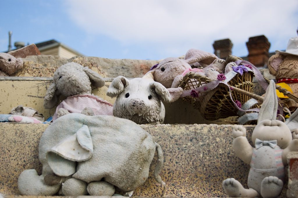 Toys After Katrina New Orleans October 2006 In Lower Garden District Photographer George Hancock Animal Dolls