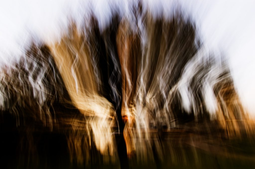 Dragged Shutter Light Picture Photographer George Hancock New Orleans October 2006 trees more